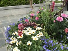 -深圳国际园林花卉博览园