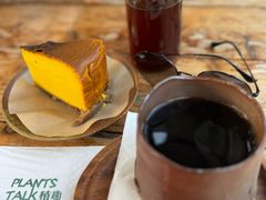 -北马山庄植趣咖啡