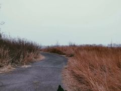 -绿堤公园