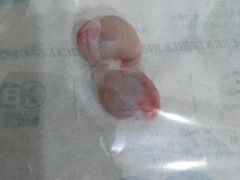 -伟伟宠物医院·CT影像中心·瑞派犬猫综合性门诊(汉口总院)