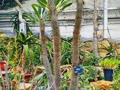 -国家植物园南园