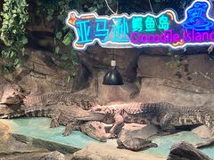 -重庆欢乐海底世界