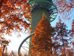 -黄海国家森林公园