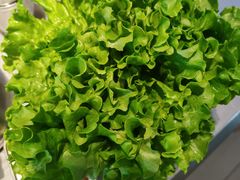 -合易泓烤肉•首创生椰大油边(宁山路店)