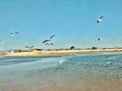 -东戴河风景区-止锚湾