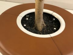 -Apple零售店(济南恒隆广场店)
