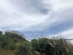 -东极岛景区