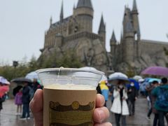 -哈利波特魔法世界