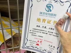 -瑞派动物医院·猫专科·至诚(江南中分院)