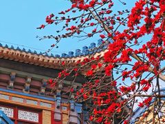 -广州中山纪念堂