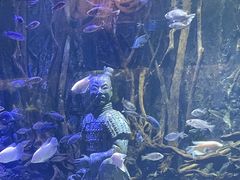 -华夏文旅海洋公园