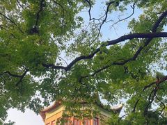 -东湖生态旅游风景区