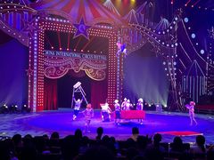 -珠海横琴长隆《卡卡虎奇遇记》