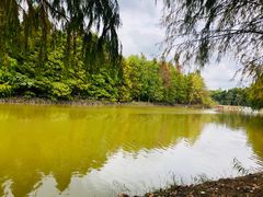 -上海海湾国家森林公园