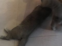 -巷口咖啡馆