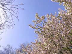 -星巴克臻选(济南万达店)