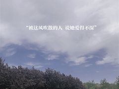 -塘沽森林公园
