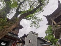 -东钱湖旅游度假区