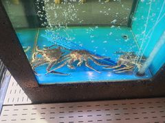 水产区-鲜味食族水产·海鲜餐厅
