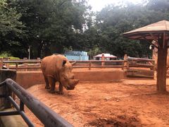 -昆明动物园