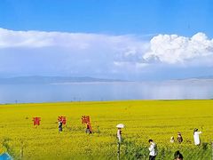 -青海湖国家重点风景名胜区