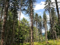 -硗碛藏寨·神木垒景区