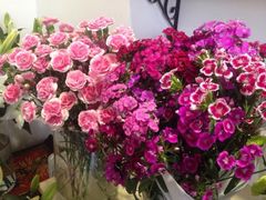 iphone_upload_pic-杭州街角花屋花店(闻堰店)