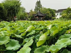 -丝绸小镇荻港古村