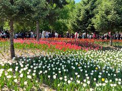 -长春公园(普阳街道)