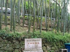 -会稽山峡洞漂流-上青古道