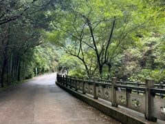 -宁波五龙潭景区