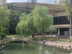 -苏州河梦清园环保主题公园