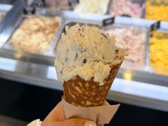 椰子冰淇淋-Patagonia Chocolates(皇后镇店)