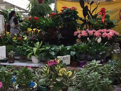 -秦美花卉(天朗·莱茵小城2期店)