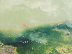 -云溪植物园