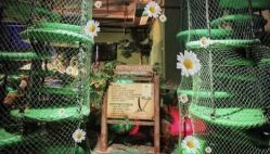 -恐龙探索乐园(磁器口店)