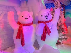 -海合安武汉极地海洋公园