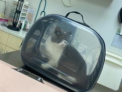 -爱诺耐芙动物医院(万博店)