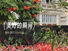 -华侨公园