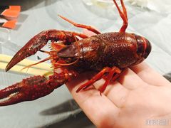 -虎虎龙虾•9年湖北匠(双井店)