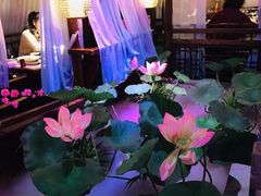 -韵秋荷(宝山龙湖天街店)