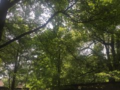 -西湖风景区十里琅珰-五云山