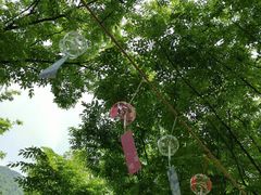 -黄公望隐居地