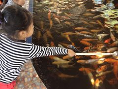 -昆山城市生态森林公园