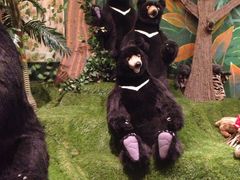 -济州岛泰迪熊博物馆