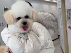 -艾贝尔宠物医院 ·中兽医·宠保定点(北门桥店)