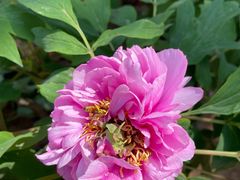 -北京西山国家森林公园