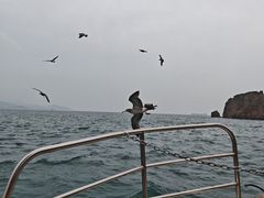 -海驴岛(荣成市)