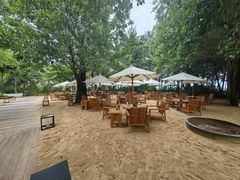-三亚艾迪逊酒店·海滩烧烤 BARBACOA·现场乐队·浪漫晚餐·烧烤海鲜