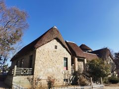 -海草馆自助餐厅(悦海店)